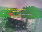 Diduga Kapolsek Tanjung Pura Serobot Lahan Hutan Lindung Kawasan Desa Bubun Langkat