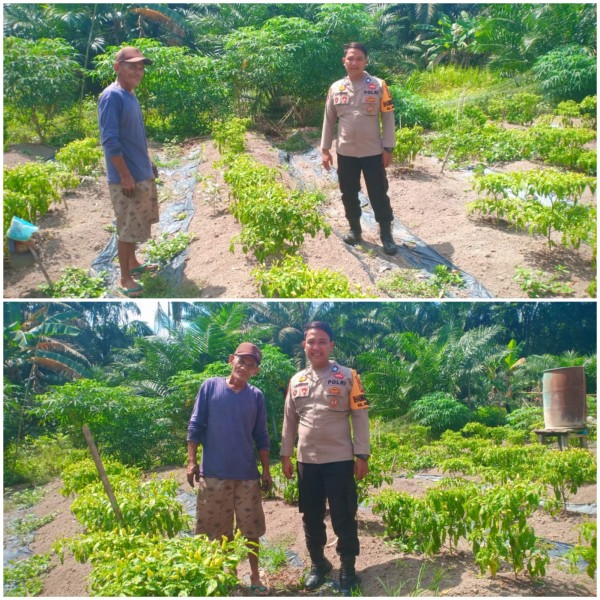 Program Ketahanan Pangan di Dumai Semakin Solid, Kapolres Beri Apresiasi
