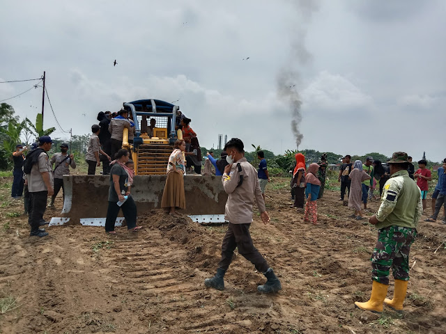 PTPN 2 Kebun Batang Kuis kembali Melakukan Pembersihan Lahan Akupasi Seluas 300 Hektar Di Jalan Band