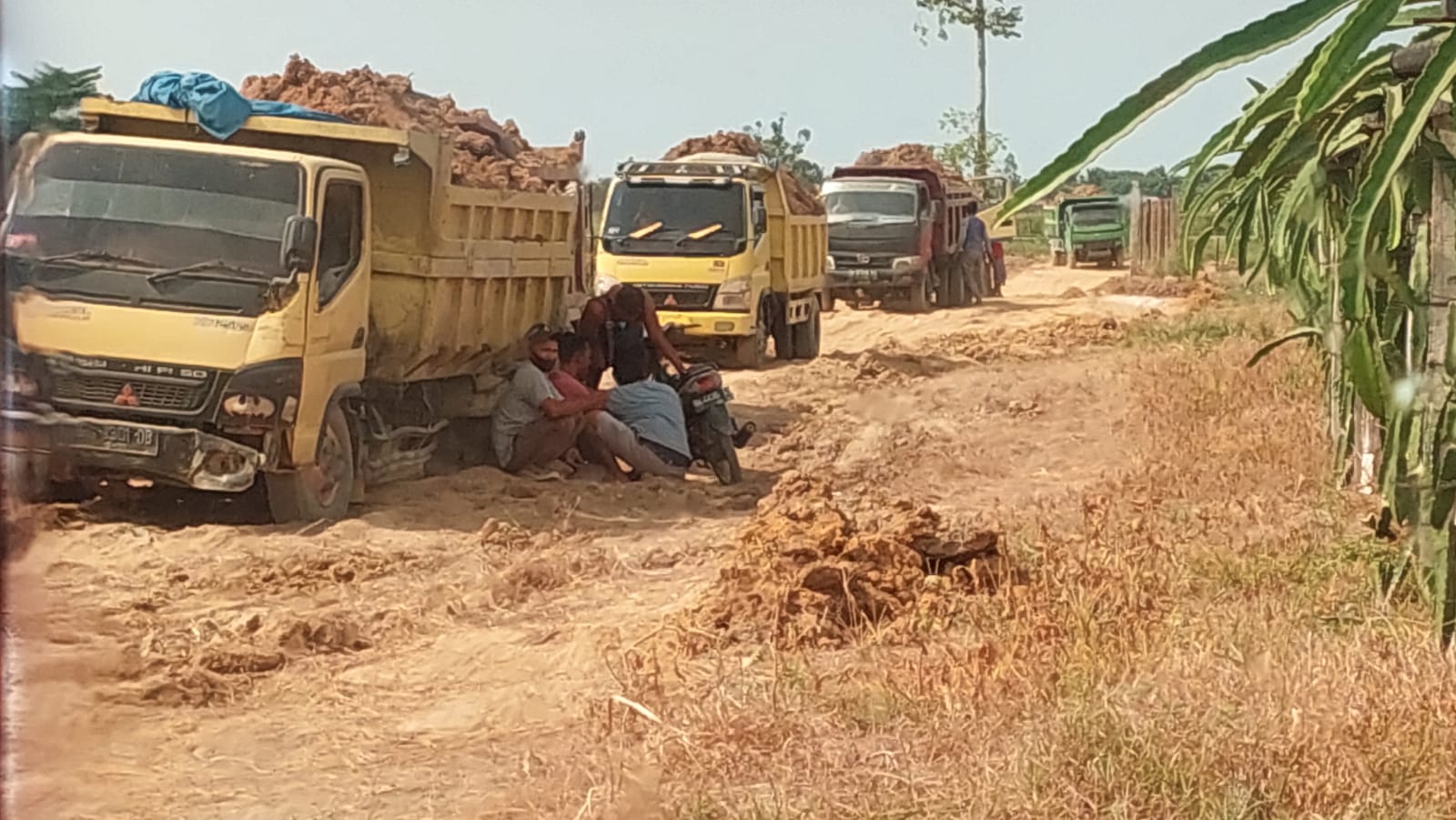 Bebas Beroperasi Galian C Diduga Ilegal  Berserak di Sergai