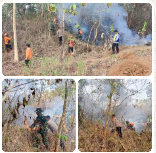 Petugas Gabungan Kembali Padamkan Kebakaran Hutan dan Lahan di Gunung Gajah