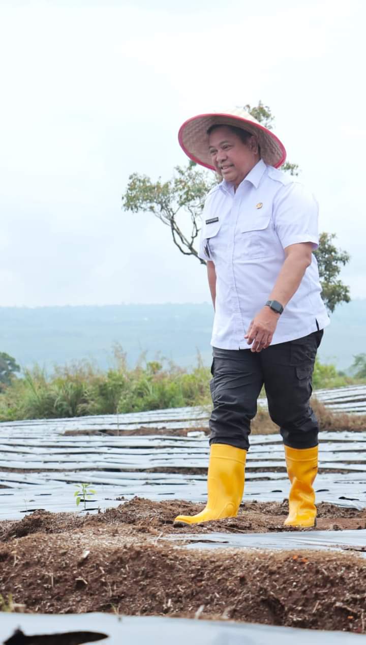 Apa Kata Mereka tentang Program Unggulan Eddy Berutu, KPT Parbuluan?