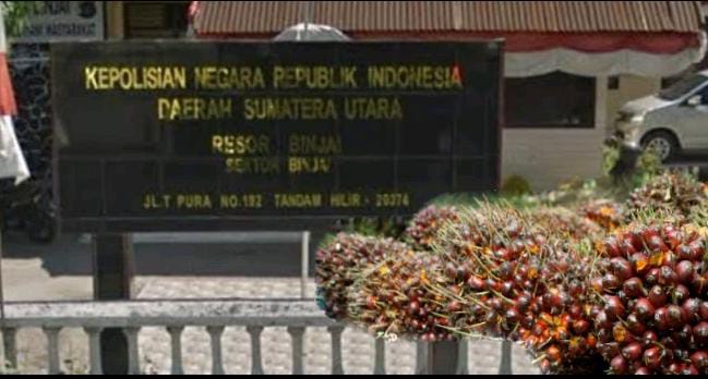 Tak Menyadari Buah Curian, Dua Pemuda Diprasangkakan Penadah Sawit