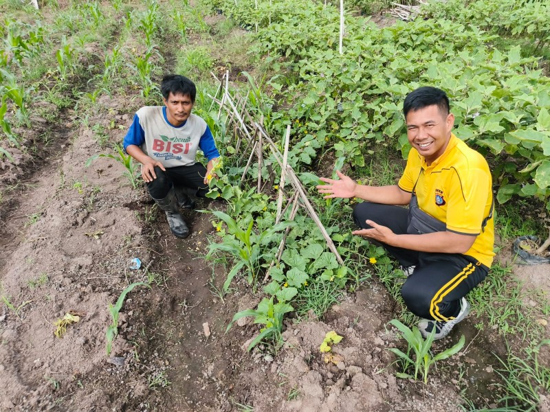 Bhabinkamtibmas Kelurahan Mundam Sambangi Kebun Melon Milik Warga