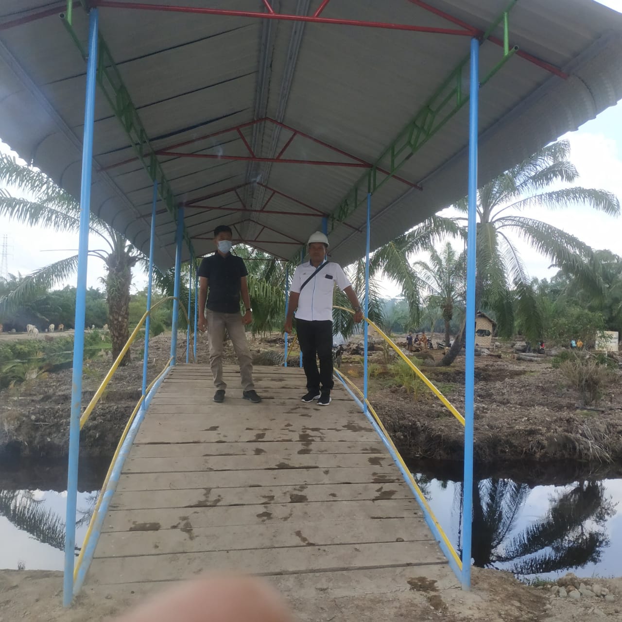 BUMDesa Perkebunan Ajamu Membangun Agrowisata