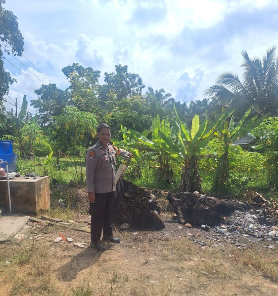 Bhabikatimas Guntung  Sambangi Petani Ubi  Dan Pisang  Perkuat Ketahanan Pangan Lokal