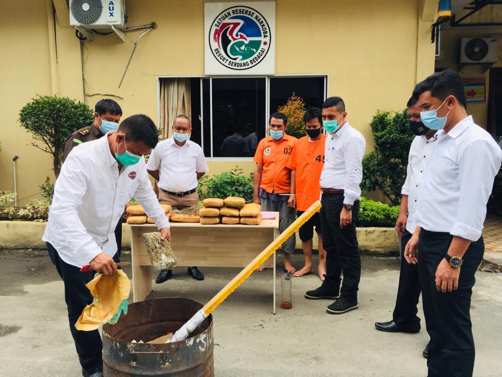 Sat Narkoba Polres Sergai Musnahkan 12,8 Kg Ganja Kering 