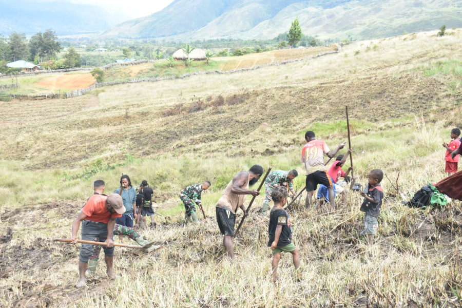 Sukseskan Ketahanan Pangan, Satgas YR 321/GT Buka Lahan Perkebunan Bersama Masyarakat Jayawijaya