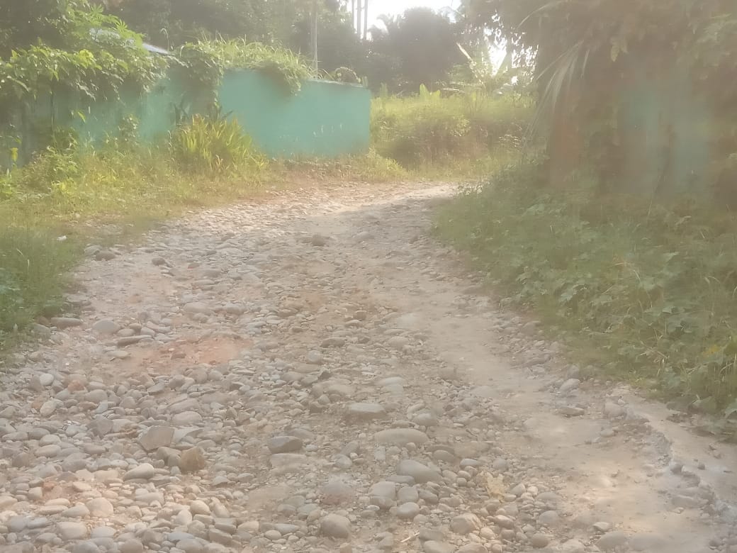 Viral Vidio Kondisi Perumahan Bersubsidi, Deploper: Semua Keluhan Warga sudah Dibahas