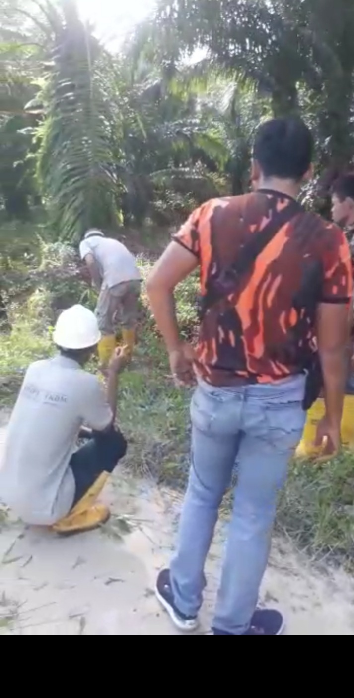 PT Dumai Sari Oleo (SDO) kota Dumai Ajak dan Gandeng para Pekerja Bongkar Bergotong-Royong