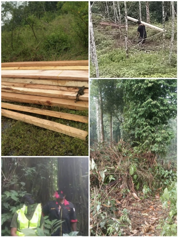 Terkait Konflik Lahan Kawasan Hutan Negara, PKSM Kutalimbaru Dituding Pro Gerakan Mafia Tanah