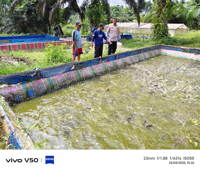 Bhabinkamtibmas Kelurahan Bukit Timah Cek Kolam Ikan Lele Kelompok Tani Putra Mandiri, Dukung Ketahanan Pangan Nasional