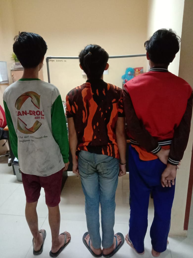 Cabuli Cewek Usia 15 Tahun Tiga Pemuda di Deli Serdang Diringkus Sat Reskrim Polresta Deliserdang