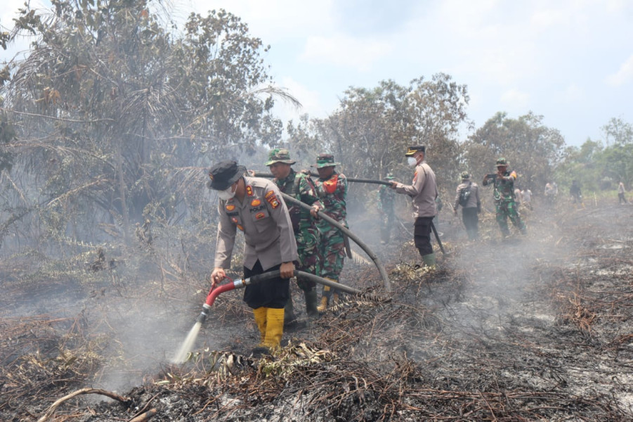 Kapolres dan Dandim Dumai Turun Langsung Padamkan Karhutna di Kecamatan Medang Kampai