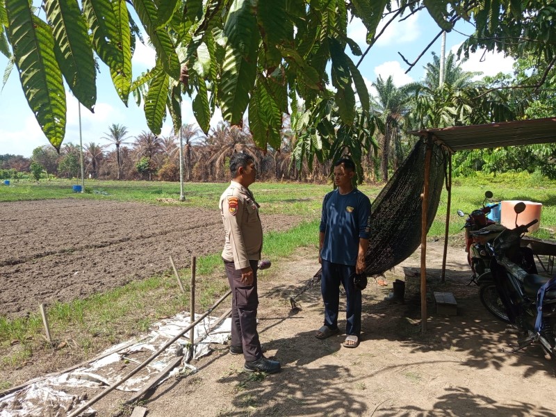 Bripka Dede sambangi petani Kafit cek tanaman sayur bayam dukung ketahanan pangan