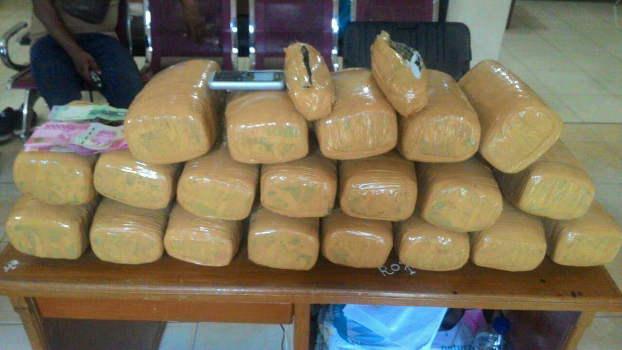 Sat Res Narkoba Polres Langkat Amankan 20 Bal Ganja Kering asal Aceh
