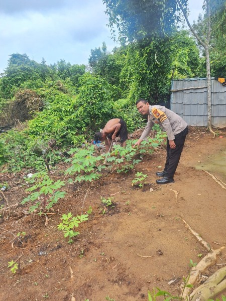Bhabinkamtibmas Guntung Sambangi Lahan Tanaman Ubi Milik Warga Perkuat Ketahanan Pangan