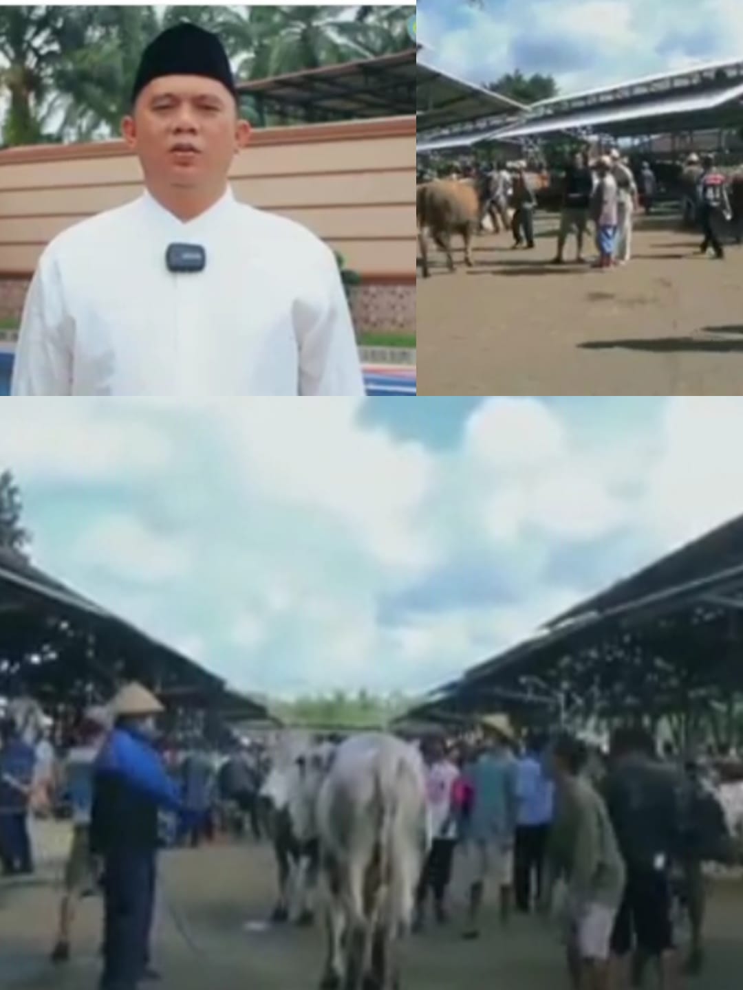 Bupati Labuhanbatu ingatkan Panitia hewan Qurban agar memastikan hewan yang dsembilih sehat