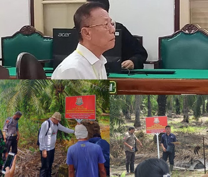Kejatisu Tak Tahu Kondisi Objek Sitaan, Perambah Taman Margasatwa KG-LTL Divonis 10 Tahun Penjara dan Denda Rp. 856 Miliar