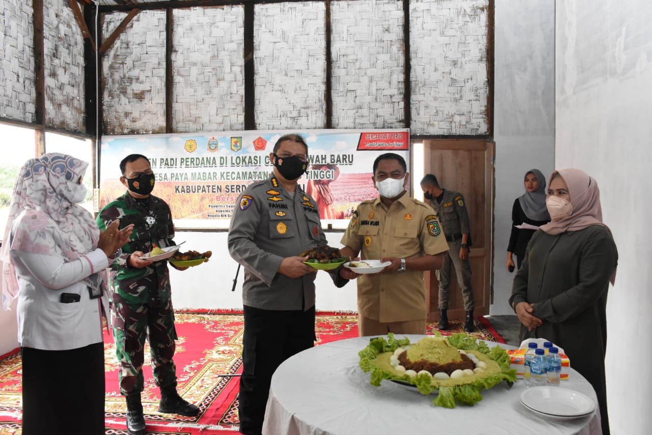 Pemkab Sergai Gelar Panen Perdana Program Cetak Sawah Baru