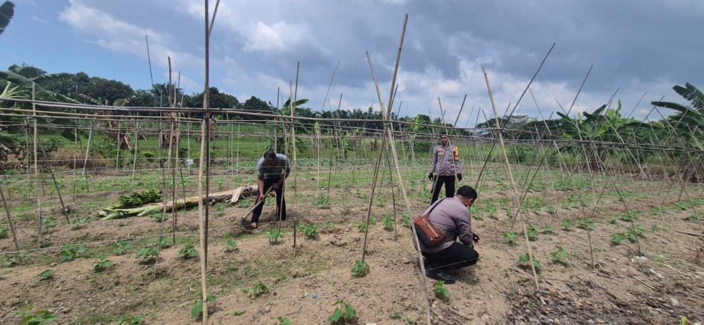 Bhabitkatimas Bersama Petani Melakukan Pengecekan Pekarangan Pangan  Bergizi Dalam Rangka Mendukung Program Ketahanan Pangan Nasional