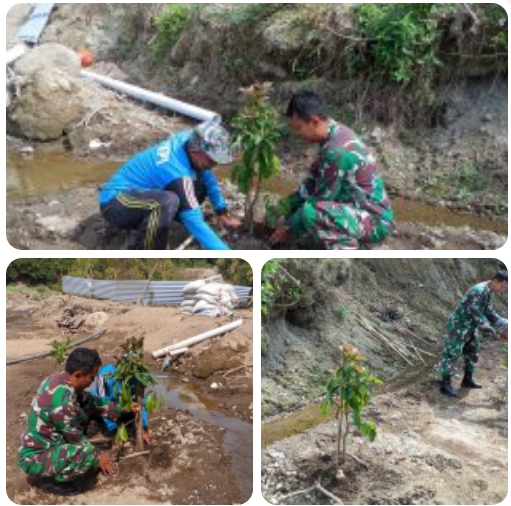 Hijaukan Lereng Sungai, Babinsa Mliwis Bersama Warga Tanam Pohon Demi Cegah Banjir dan Longsor