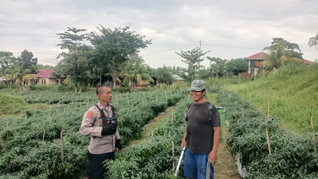 Polres Dumai Adakan Giat Pengecekan Terhadap Ketahanan Pangan Masyarakat Melalui Bripka Edy Suryanto