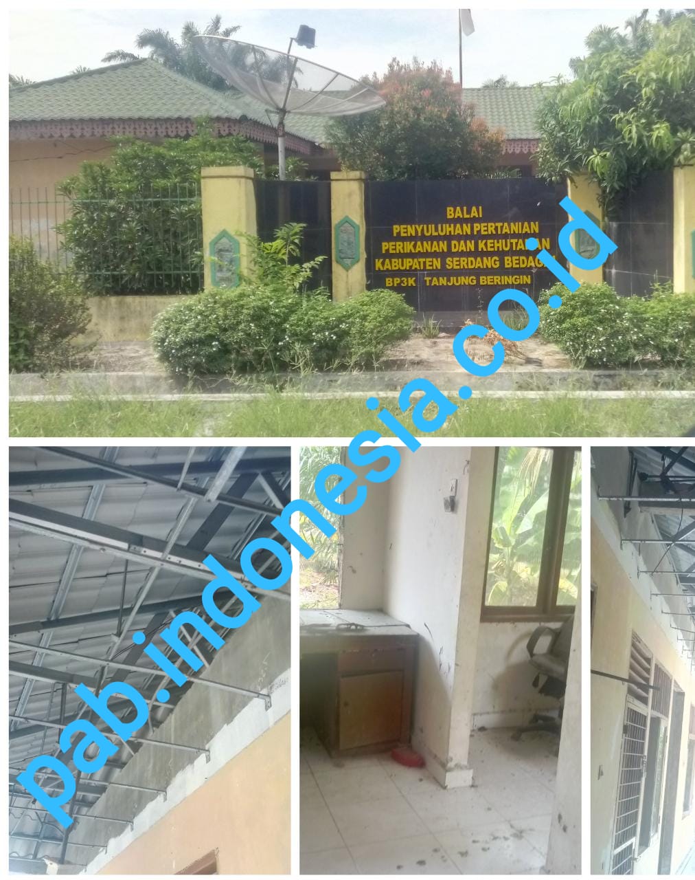 Bangunan Rusak dan Terlihat Sepi, Kantor Balai Penyuluhan Pertanian Tanjung Beringin Butuh Renovasi
