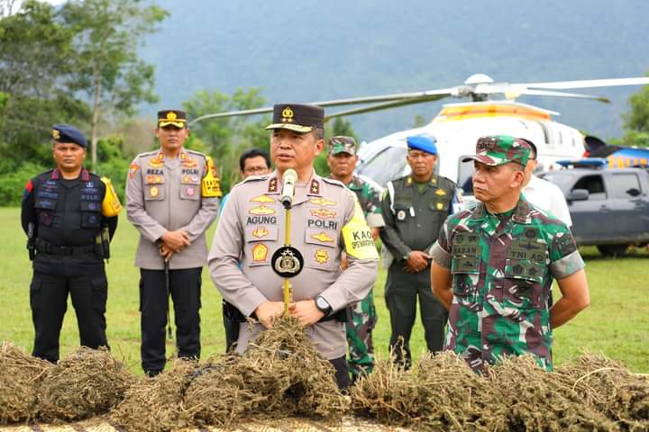 Kapoldasu dan Pangdam I/BB Pimpin Operasi Perburuan Ladang Ganja Terluas di Pulau Sumatera