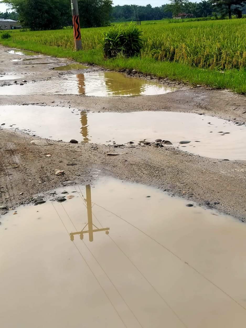 Perhatikan Jalan Desa Kami Pak Sudah Bertahun Tak Tersentuh Pembangunan  