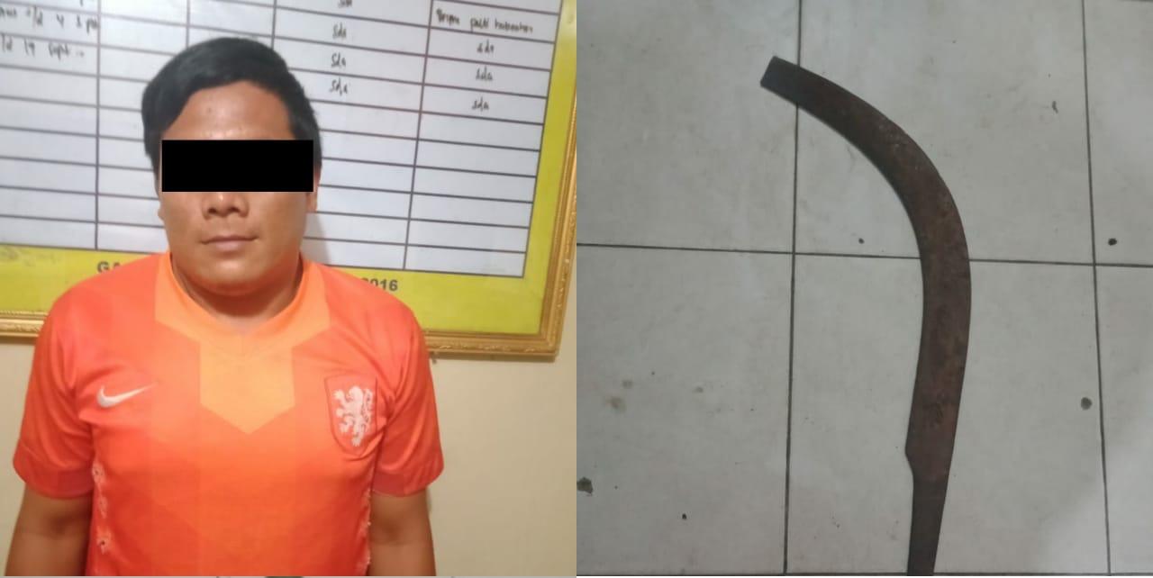 Curi Lima Janjang Buah Sawit  HN Digelandang Ke Kantor Polisi