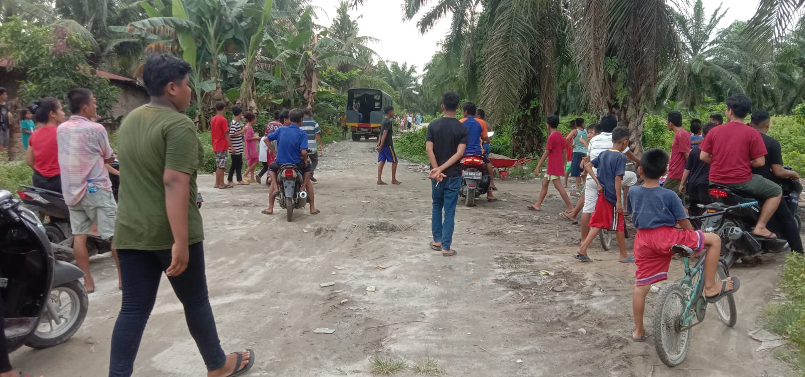 Satnarkoba Polres Sergai Grebek Perumahan PJKA & Perkebunan Avdeling V  Desa Pon