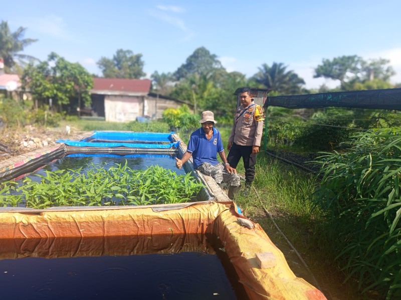 Bhabinkamtibmas Teluk Makmur Sambangi Budidaya Ikan Lele Jumbo, Perkuat Ketahanan Pangan