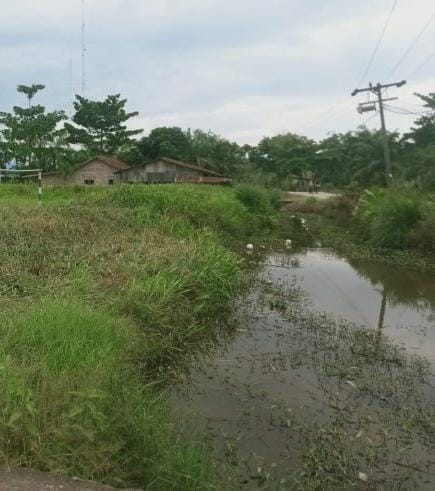 Begini Penjelasan Dinas PUPR Labura Terkait Proyek Normalisasi Parit Kampung Mesjid