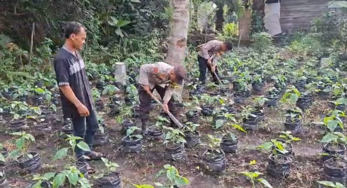 Dukung Ketahanan Pangan Nasional Bhabinkamtibmas Sungai Sembilan Bersama Pak Tani Melaksanakan Pengecekan Pekarangan Bergizi Di Kelurahan Lubuk Gaung
