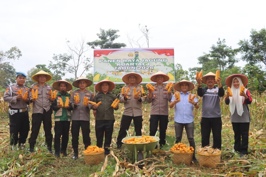 Panen Raya Jagung Polsek Bukit Kapur: Polres Dumai Dukung Ketahanan Pangan Nasional