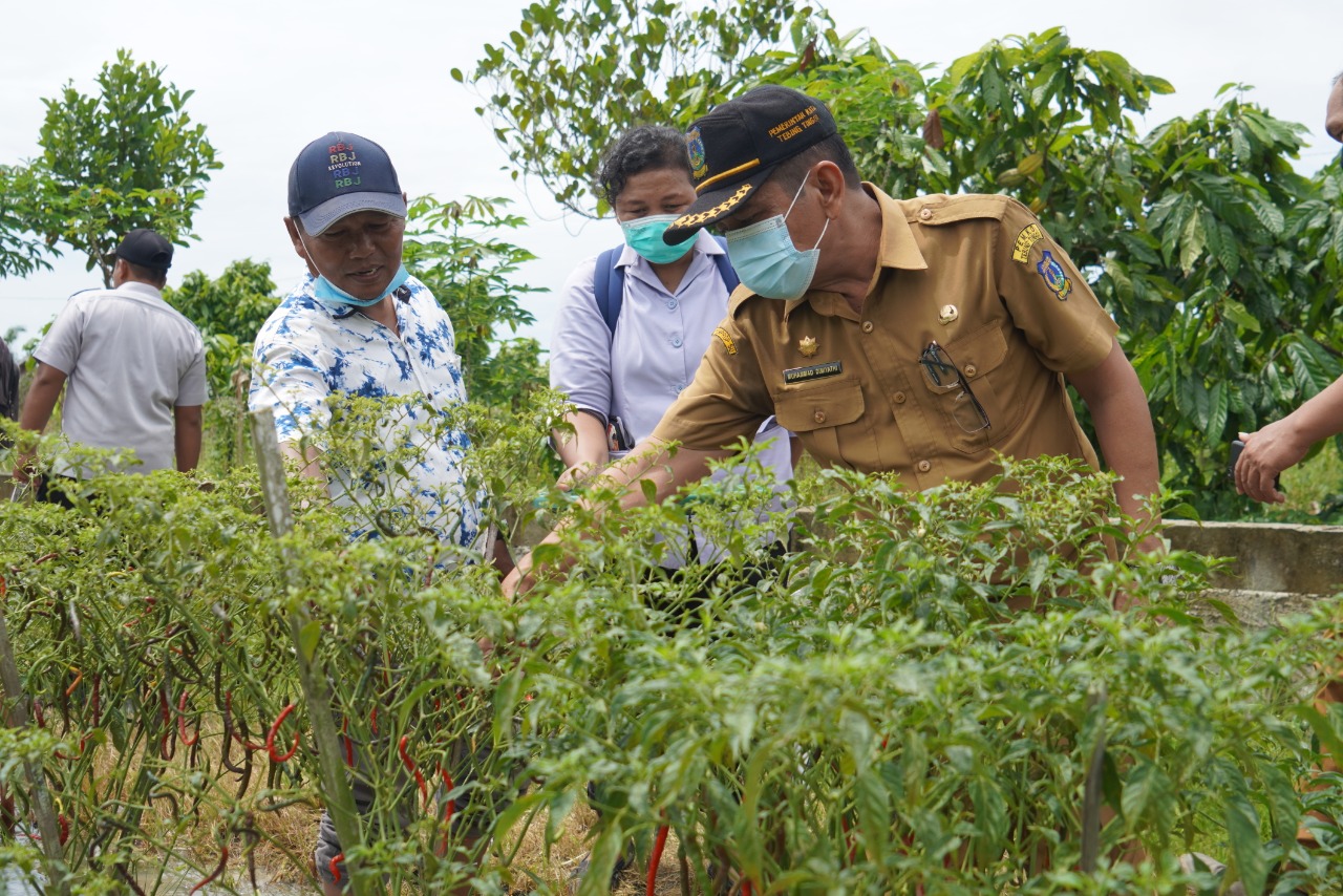 Walikota Tebing-tinggi: Sektor Pertanian Tebing-tinggi Diharap terus Produktif
