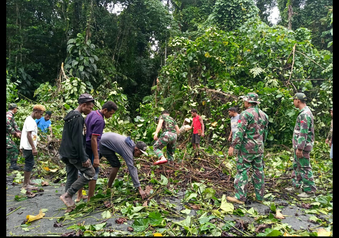 Pohon Tumbang Menutup Poros Jalan Keerom, Satgas Yonif MR 413 Kostrad Cepat Tanggap Evakuasi