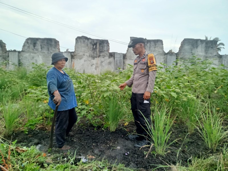 Aipda Butarbutar Bhabinkamtibmas Bagan Besar Timur cek pekarangan pangan bergizi tanaman rimbang dukung ketahanan pangan