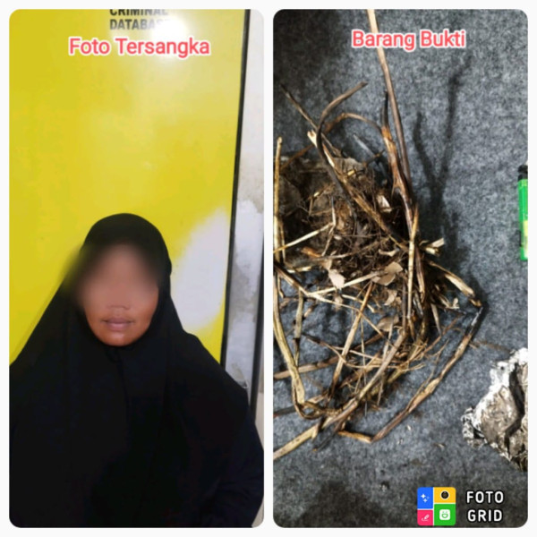 Polres Dumai Amankan Wanita NK Tsk Pembakar Hutan