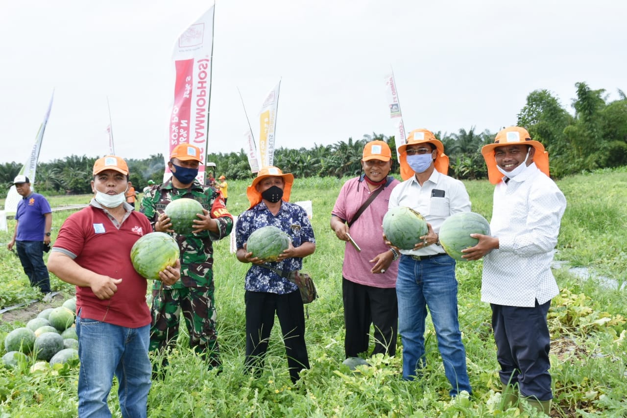 Wabup Sergai H Darma Wijaya Apresiasi Kelompok Tani  Gapoktan Seiya Sekata