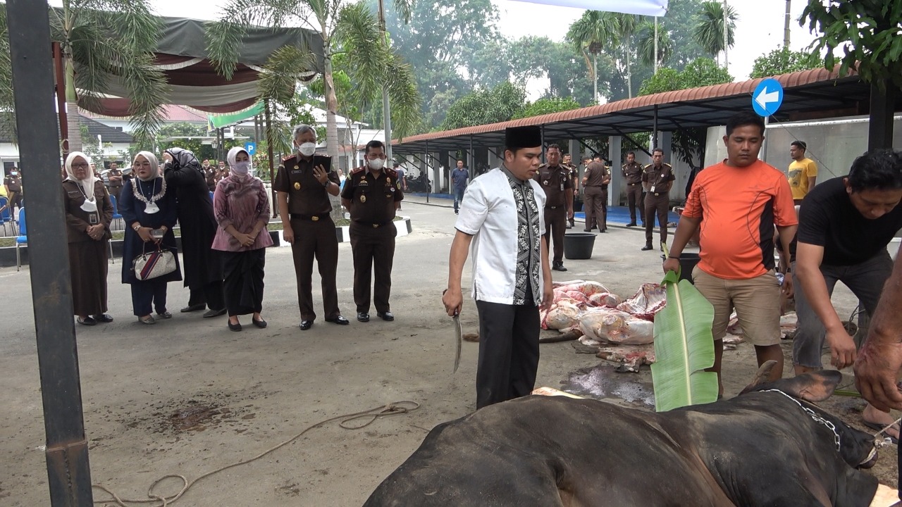 Hari Raya Idul Adha 1443 H, Kejatisu Sembelih 9 Ekor Hewan Kurban