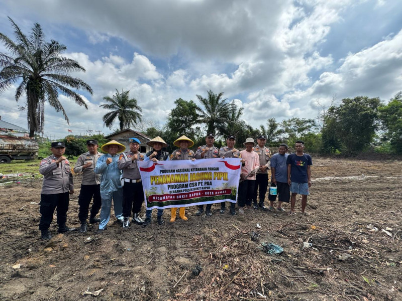 Polsek Bukit Kapur Melaksanakan Giat Penanaman Jagung Pipil