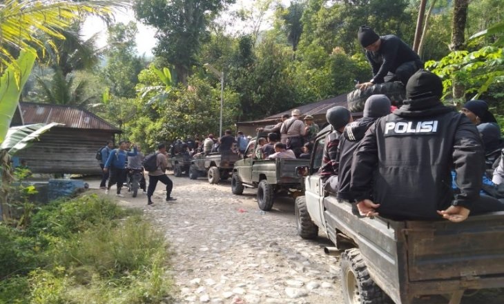 TNI- POLRI Musnahkan 5 H Ladang  Ganja Di Madinah