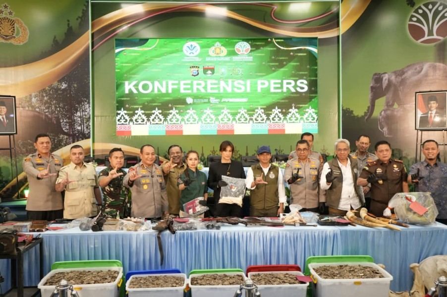Polda Riau Berhasil Bekuk 15 Tersangka Jaringan Perburuan Gajah Sumatera
