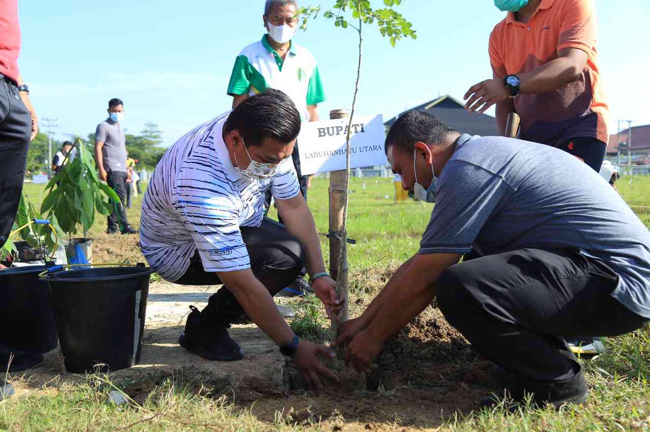 Bupati Labura Tanam Pohon di HUT Labura ke 13