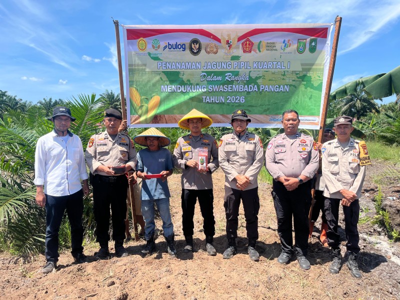 Personil Polsek Bukit Kapur Lakukan Penanaman Tambahan Jagung, Perluas Lahan Tanam Hingga 1,5 Hektare