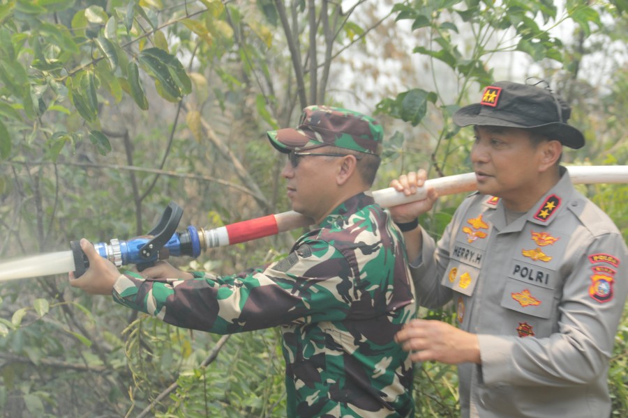 Tunjai Lahan Kebakaran Hutan, Herry Heryawan Tegaskan Komando Pengendalian dan Penegakan Hukum Tegas dan Optimalisasi Pencegahan Terpadu