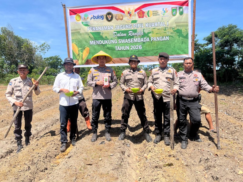 Personil Polsek Bukit Kapur Tanam Jagung di Lahan Samping Mako, Wujud Dukung Ketahanan Pangan