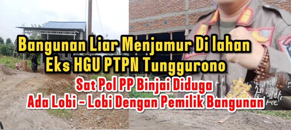 Bangunan liar Menjamur Di Lahan Eks HGU PTPN II Tunggurono,,ada apa dengan Sat Pol PP?